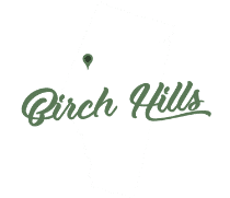 Personal Injury Lawyer Birch Hills