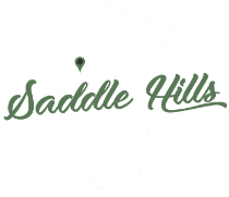 Personal Injury Attorney Saddle Hills