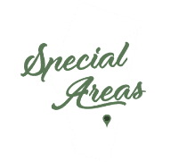 Personal Injury Attorney Special Areas