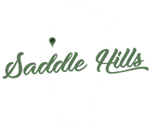 tort claims Attorney Saddle Hills